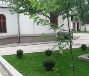 Biserica Izvorul Nou